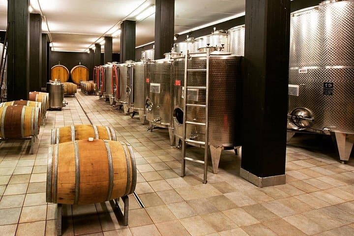 Wine & Chocolate Tour and Tasting in Alba area