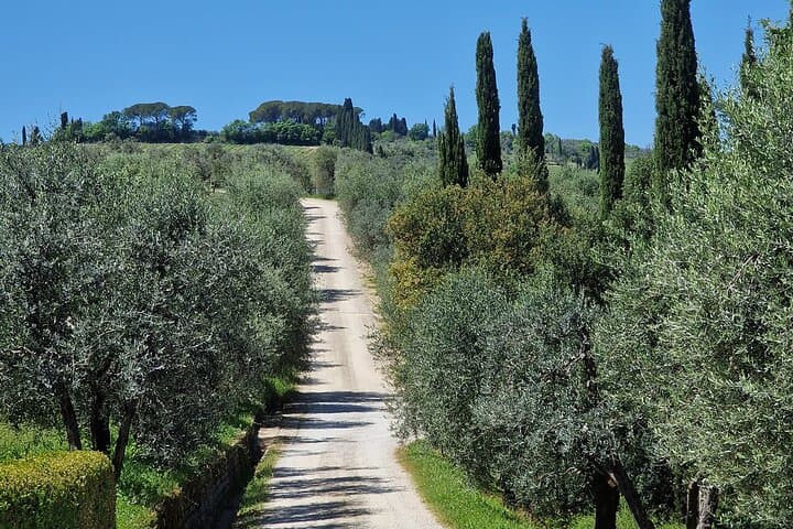 Private Wine Tour 2 top wineries of Chianti Classico Limo Service