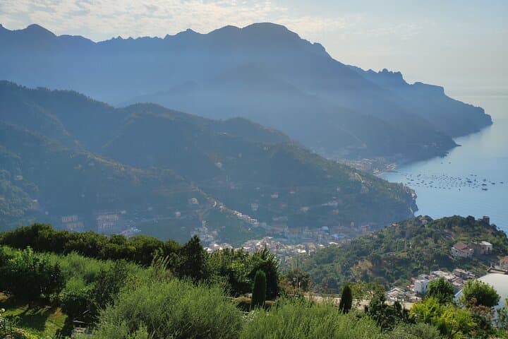 Amalfi Coast Vintage Tour with oil tasting in Ravello