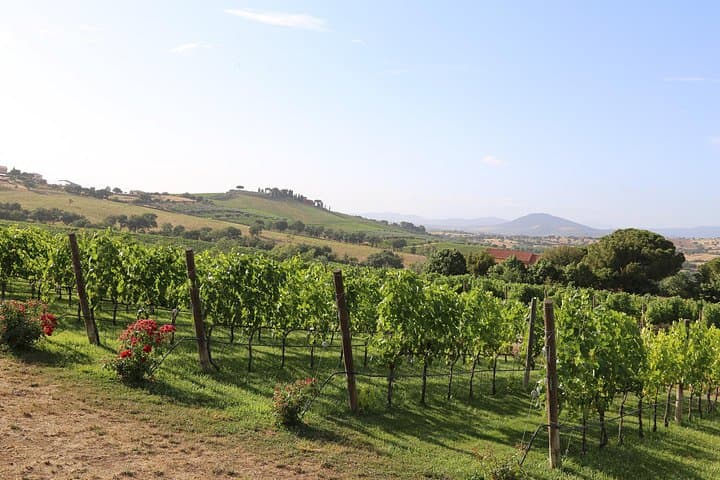Siena countryside: cooking class in an exclusive estate