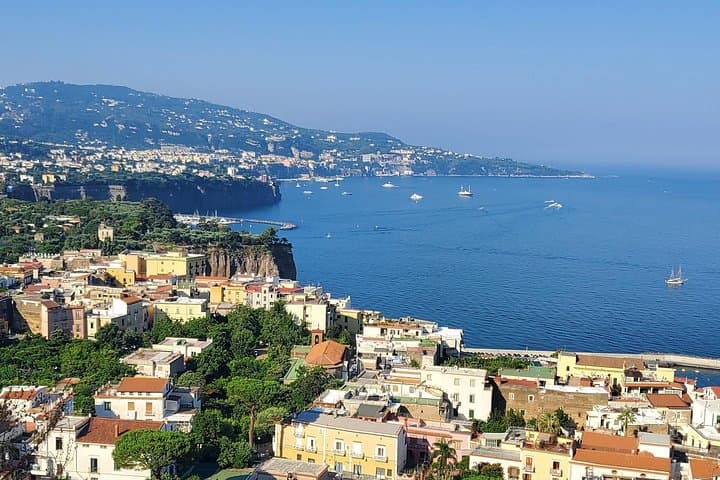 Sorrento : Private Transfer from Naples visit Pompeii