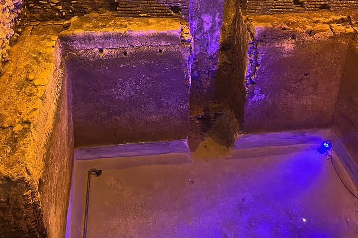 Trevi Fountain Underground Guided and Walk City Tour