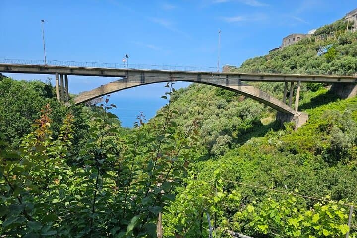 Sorrento: Gastronomic Tour by E-Bike and Visit to Acetaia