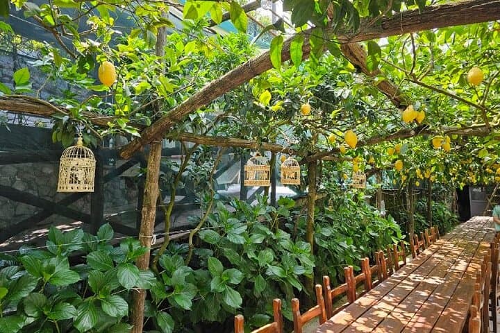 Sorrento: Gastronomic Tour by E-Bike and Visit to Acetaia