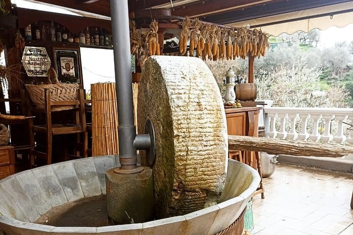 Sorrento: Gastronomic Tour by E-Bike and Visit to Acetaia
