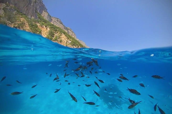 Gulf of Orosei Speedboat Trip from Cala Gonone