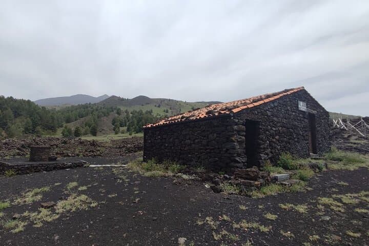 Private and Guided Tour on Etna with Wine Tasting included