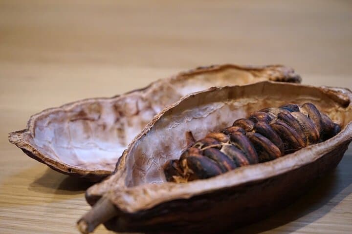 Cocoa pod