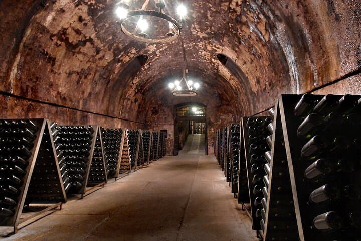 From Milan Full Day in Franciacorta 2 Wineries and Lunch