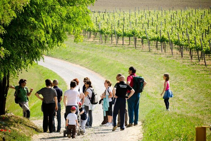 From Milan Full Day in Franciacorta 2 Wineries and Lunch