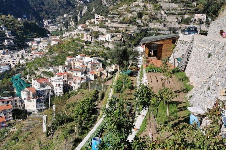 Private tour with tasting at the Sentiero dei Limoni