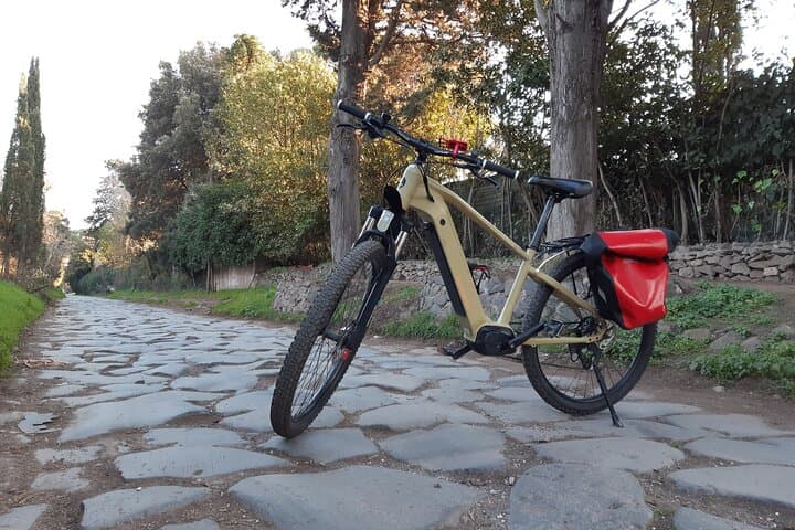 One of the e-bikes of Easy Bike Rent during an Appian Way Tour