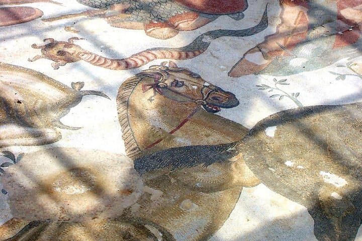 Roman Villa del Casale (Piazza Armerina):Tour of Sicilian Mosaics
