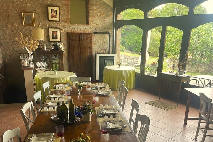 Evo Oil Experience with Oil Tasting and Lunch in the Nature