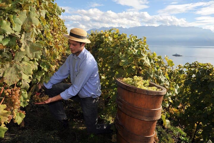 3 Day Private Sicily Food and Wine: Taormina, Etna, Catania