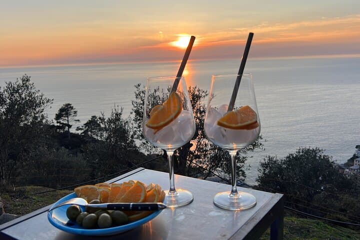 Cesarine: Sunset Spritz Masterclass with Dinner in Cinque Terre