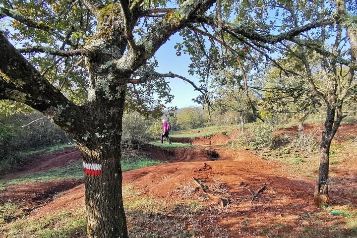 Walking the Trail, "Madras Circus"