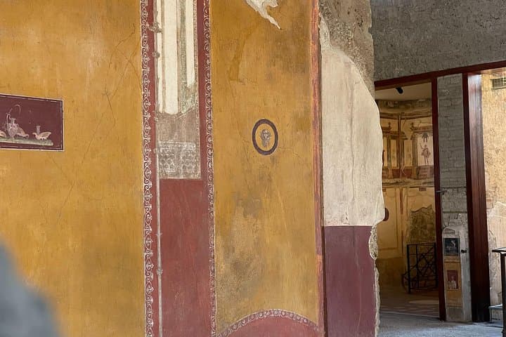 From Amalfi Coast: Pompeii Guided Tour with Skip the Line