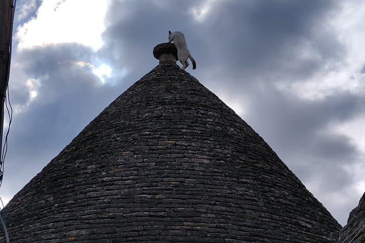 Culinary historical welcome and guided walk among the trulli