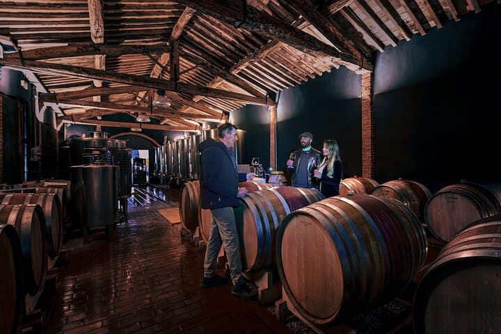 Microorganisms, the real protagonists of the grape-to-wine process