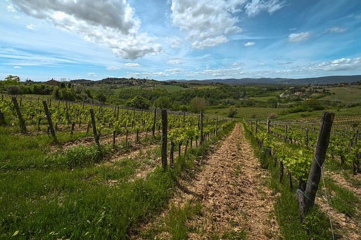 Land, Climate and Taste