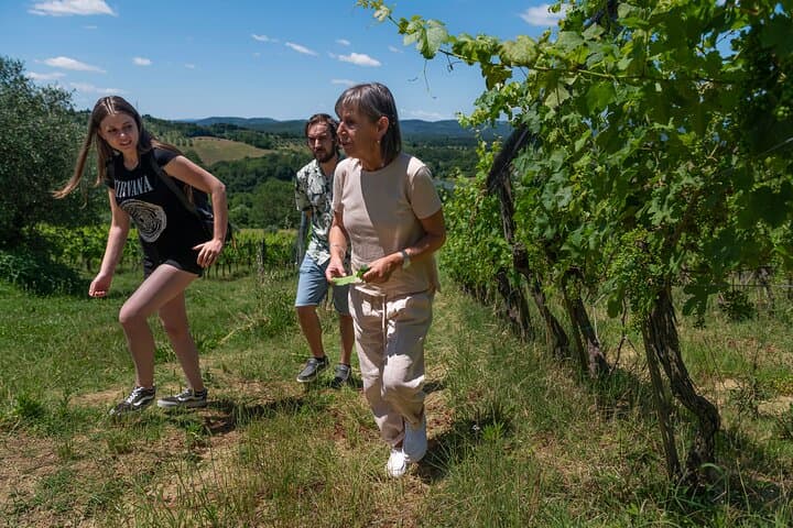 Winery tour - organic farming