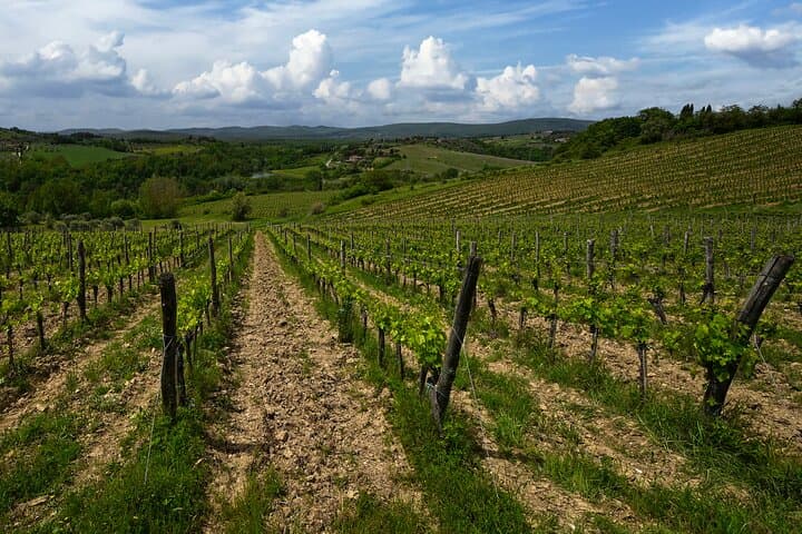 Organic farming since 2000