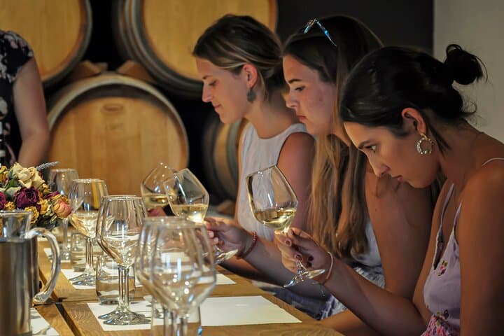 We will stimulate the senses to capture every
subtle olfactory-gustatory note of our organic wines