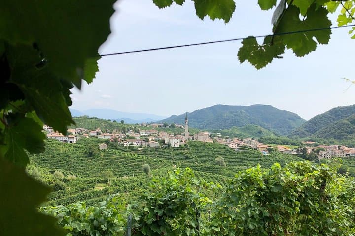 Prosecco Hills Wine and Cheese Gourmet Discovery