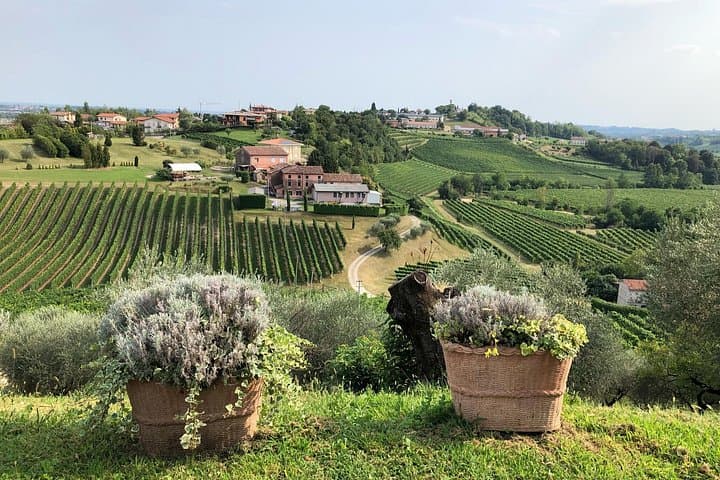 Prosecco Hills Wine and Cheese Gourmet Discovery