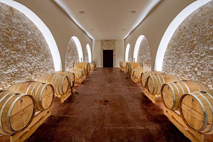 Alberobello Winery: Wine & Food Pairing Experience
