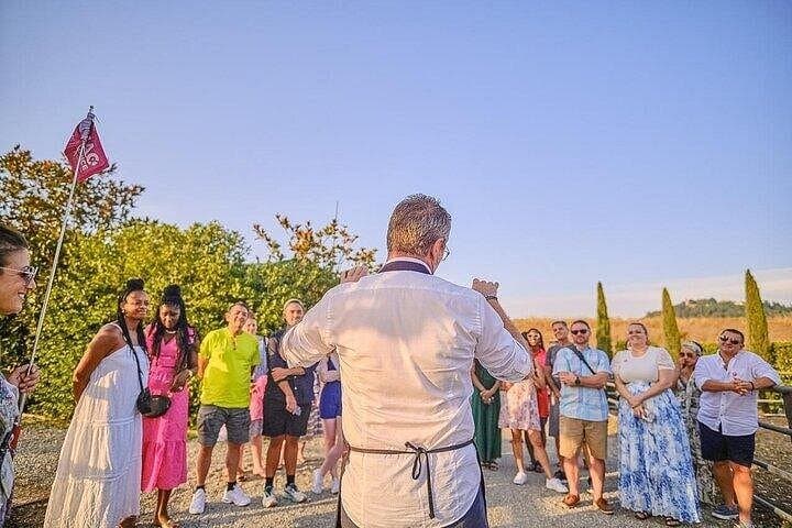 Semi-Private Chianti Wine Tour with Dinner in Tuscany Vineyard