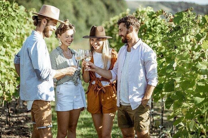 Semi-Private Chianti Wine Tour with Dinner in Tuscany Vineyard