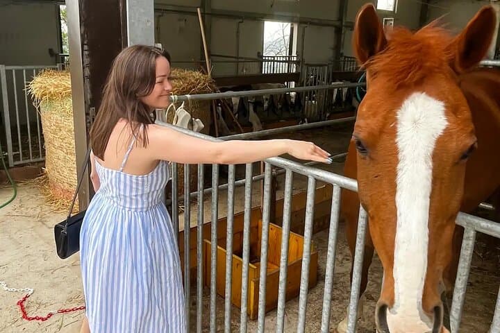 FARM STAY EXPERIENCE & DOZZA - Private Day Tour From Bologna
