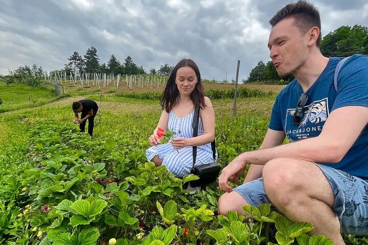 FARM STAY EXPERIENCE & DOZZA - Private Day Tour From Bologna