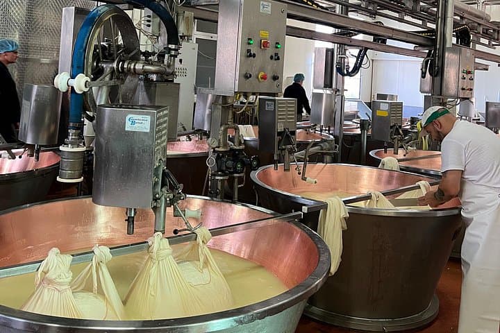 Ferrari, Parmesan and Balsamic Day Tour from Bologna