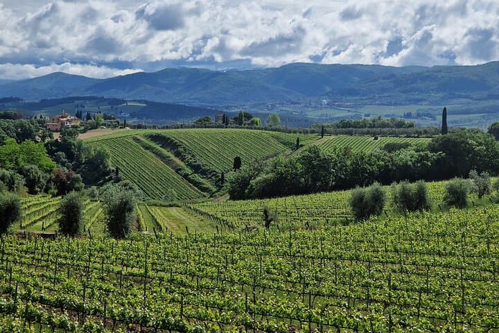 Private Wine Tour Tuscany half day Limousine Service Florence