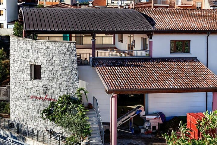 Winery Tour with Wine and Food Tasting in Nuoro