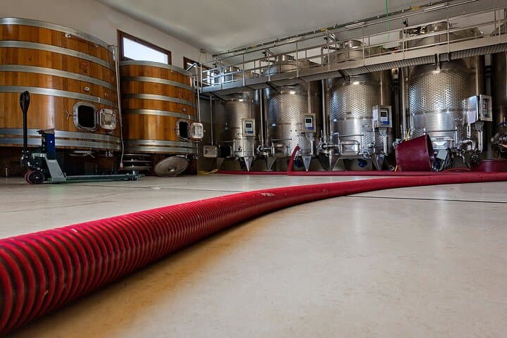 Winery Tour with Wine and Food Tasting in Nuoro