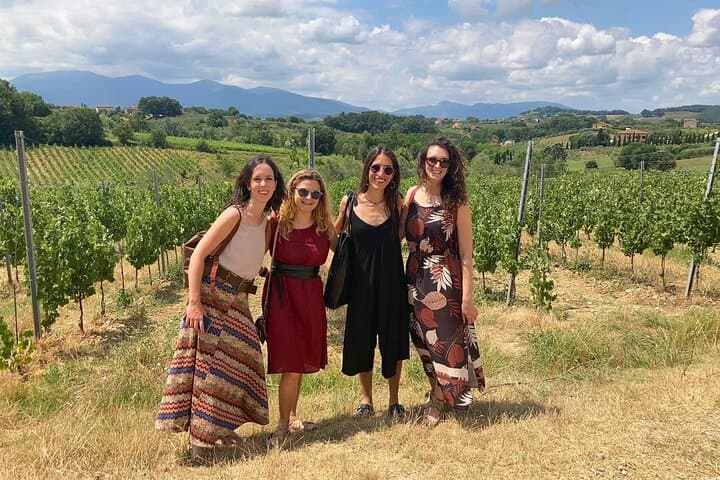 Lucca and Optional Wine Tasting Private Tour from Livorno Port