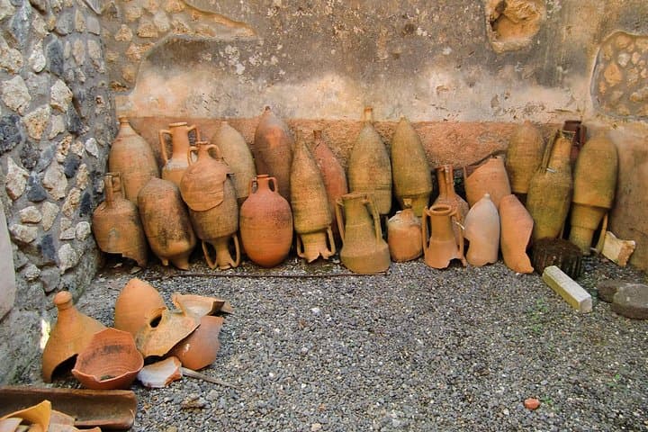 Step into History: Private Pompeii Tour from Naples Hotel or Port
