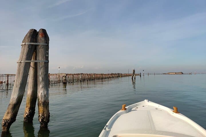 Mussel farms seen from close up in the Venetian Lagoon near Chioggia Venice