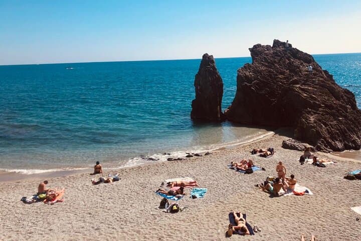 Exclusive Cinque Terre by Ferry with stop in Pisa from Florence