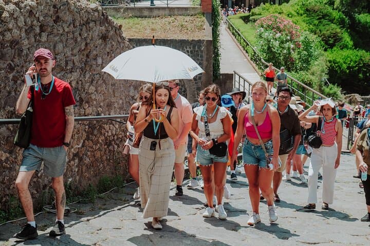 Pompeii & Herculaneum Guided Tour - High Speed Train from Rome