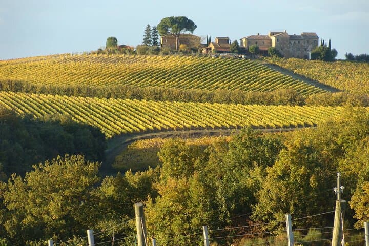 Montepulciano: Wine Tour and tasting