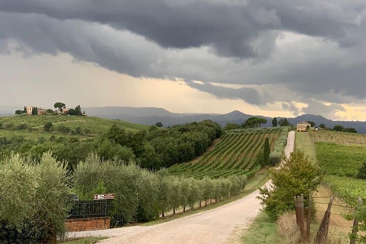 Montepulciano: Wine Tour and tasting