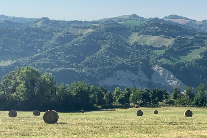 FARM STAY EXPERIENCE & DOZZA - Private Day Tour From Bologna
