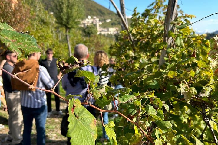 2 Guests Private Prosecco Road Tour All Inclusive from Venice