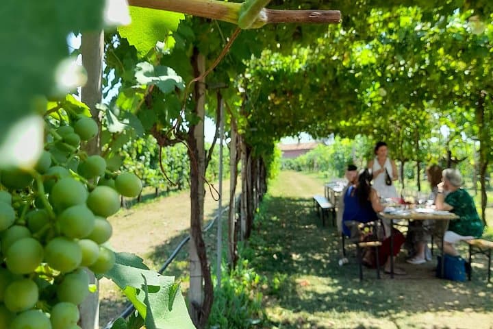 2 Guests Private Prosecco Road Tour All Inclusive from Conegliano