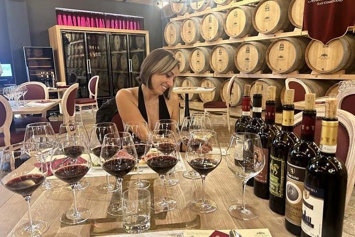 Private Tour to Siena and San Gimignano with Wine Tasting & Lunch